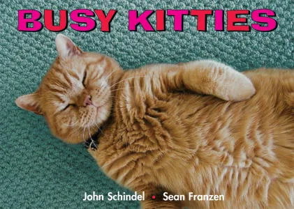 Busy Kitties