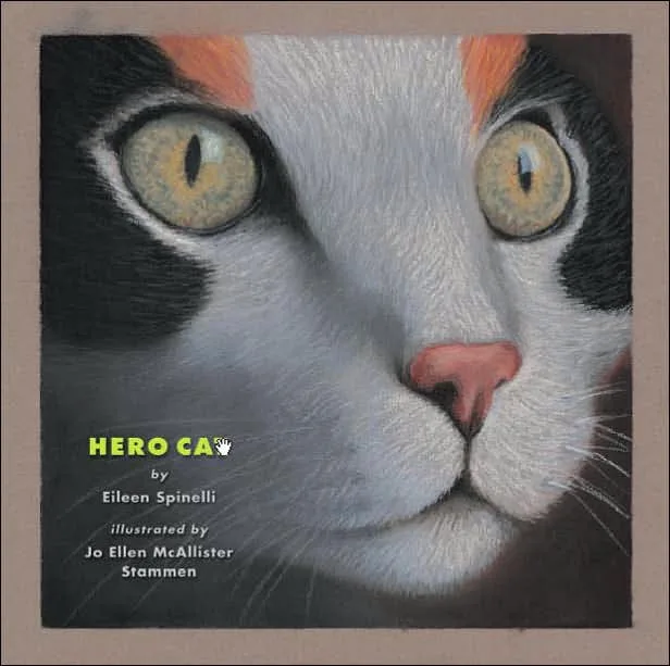 Hero Cat