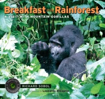 Breakfast in the Rainforest