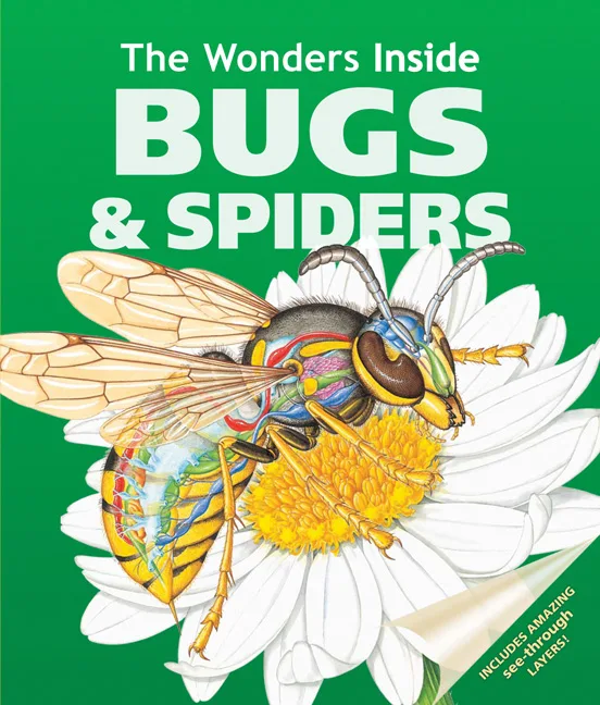 The Wonders Inside: Bugs and Spiders