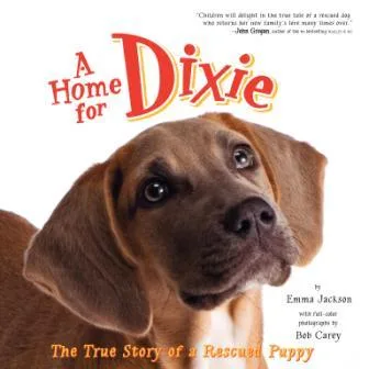A Home for Dixie