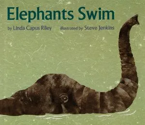 Elephants Swim
