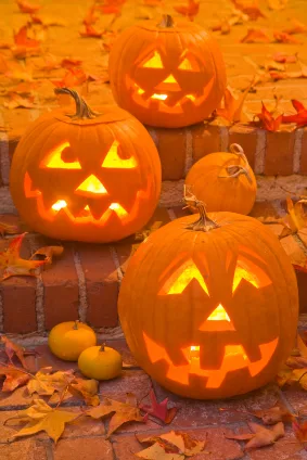 The Perfect Pumpkin Pie