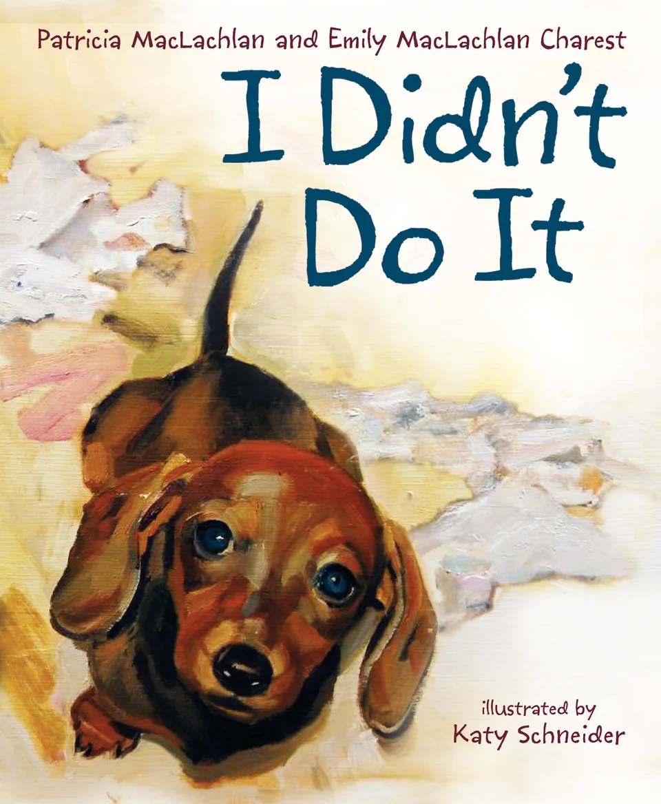 I Didn’t Do It