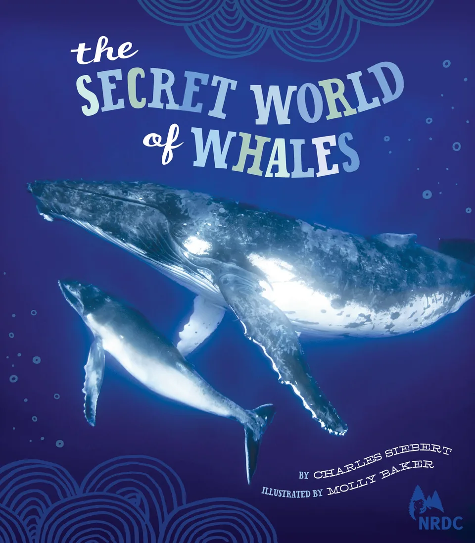 The Secret World of Whales