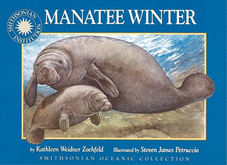 Manatee Winter