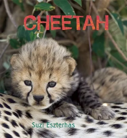 Eye on the Wild: Cheetah and Gorilla
