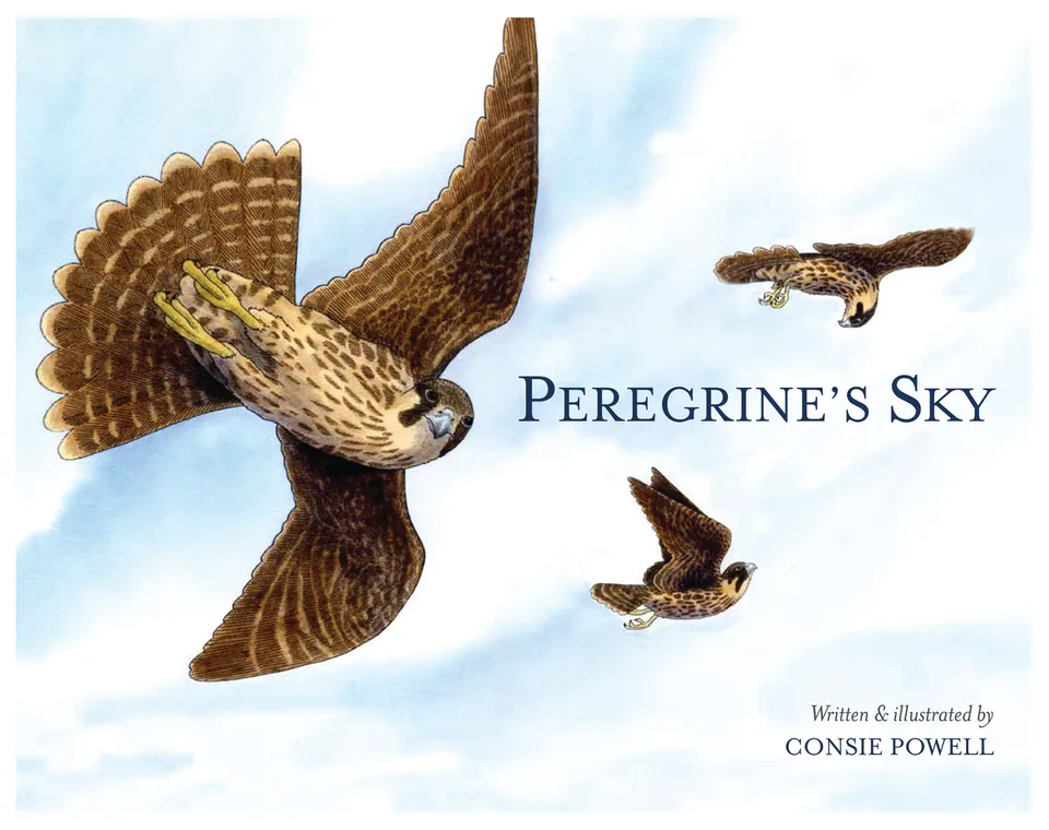 Peregrine’s Sky