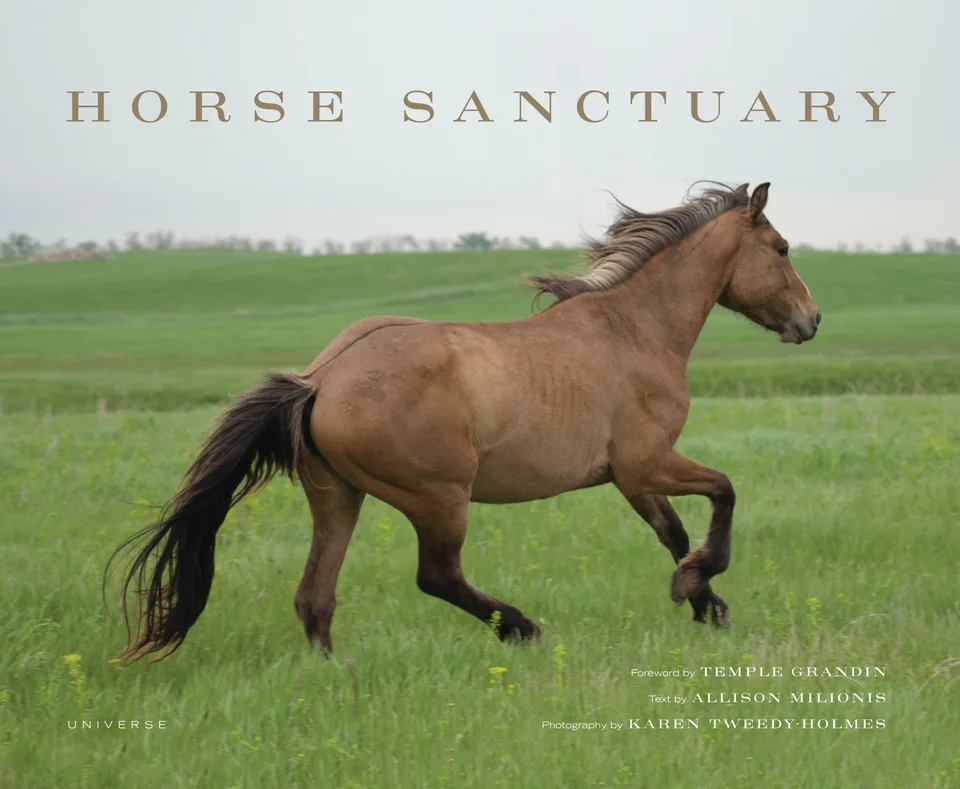 Horse Sanctuary cover