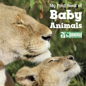 My1stBookBabyAnimals