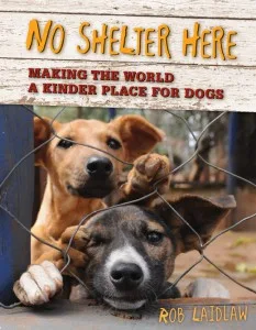 No Shelter Here book cover, featuring two dogs behind wire fencing