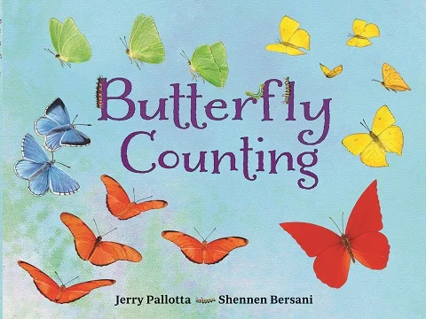 butterfly-counting
