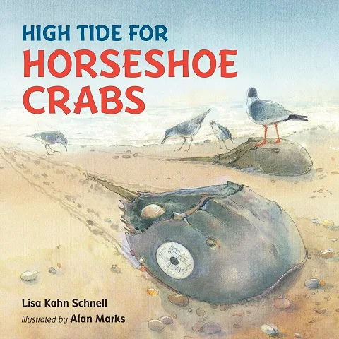 high-tide-for-horseshoe-crabs-hires