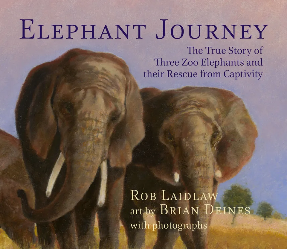 ElephantJourney_LR_RGB-1