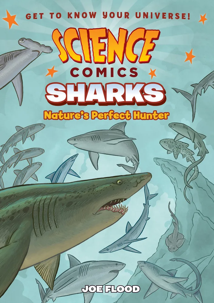 Sharks: Nature’s Perfect Hunter