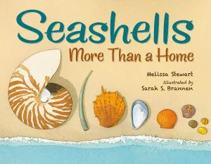Seashells: More Than a Home
