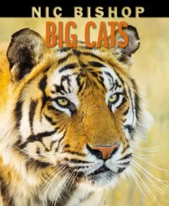 Nic Bishop: Big Cats
