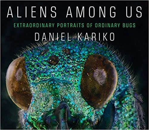 Aliens Among Us: Extraordinary Portraits of Ordinary Bugs